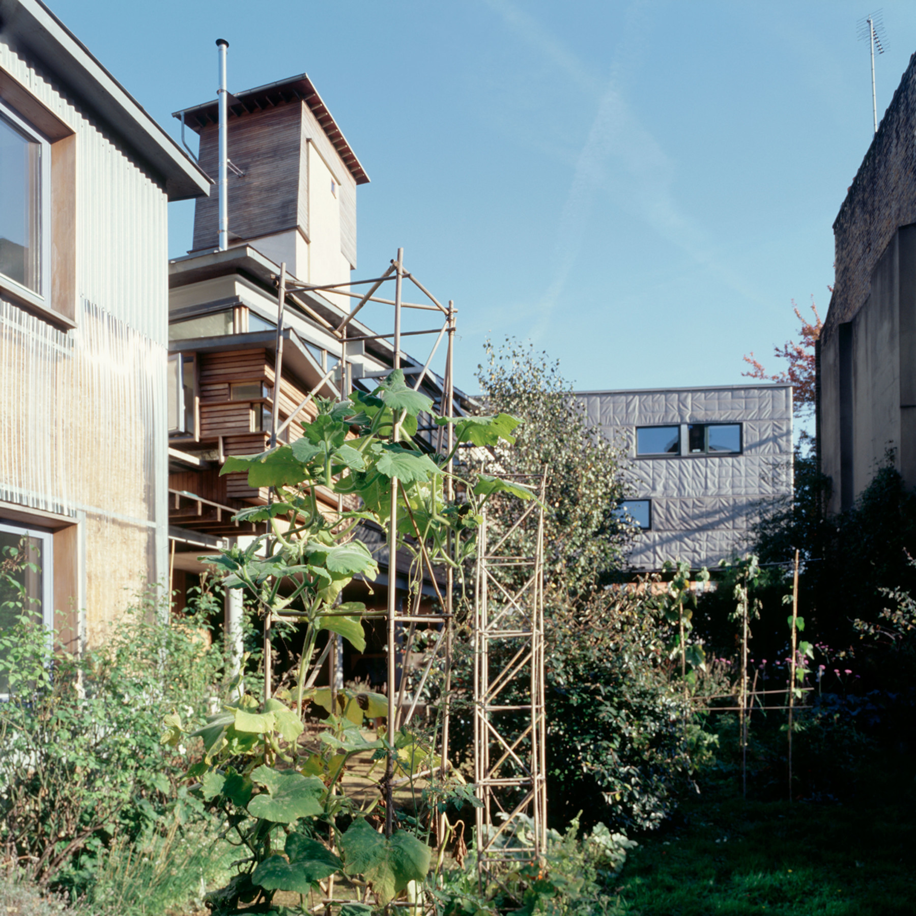 Sarah-Wigglesworth-Architects Stock Orchard Street garden 3600.jpg